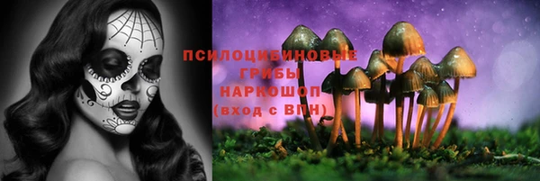 мдпв Новозыбков