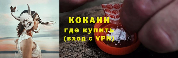 мдпв Новозыбков