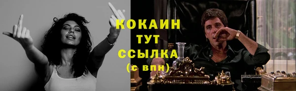 ECSTASY Няндома