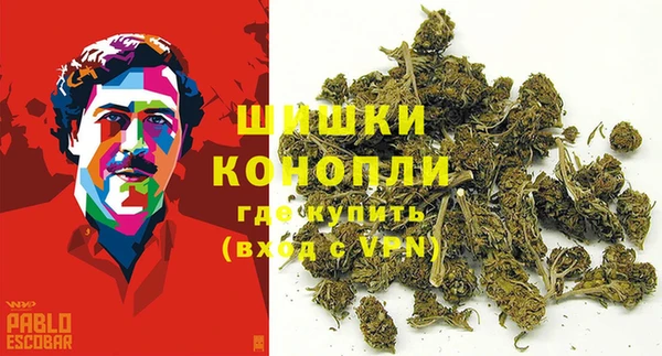 мдпв Новозыбков
